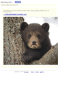 Mobile Screenshot of beruang.com
